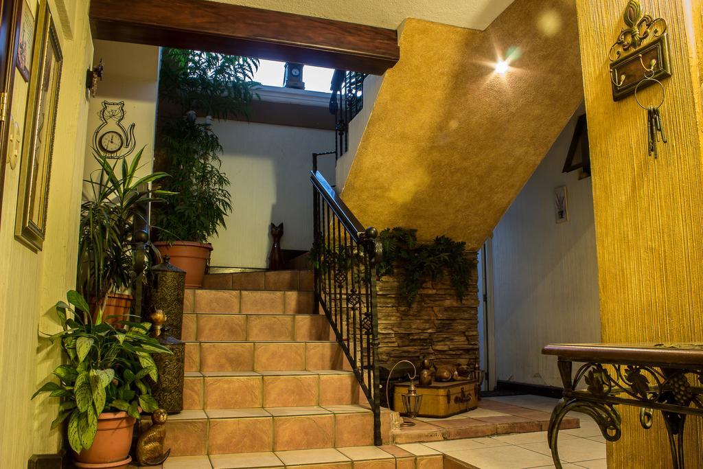 Mi Casa, Tu Casa Apartment Guatemala City Екстериор снимка