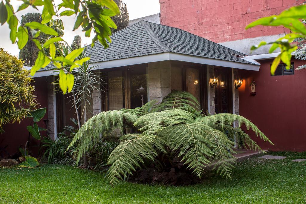 Mi Casa, Tu Casa Apartment Guatemala City Екстериор снимка
