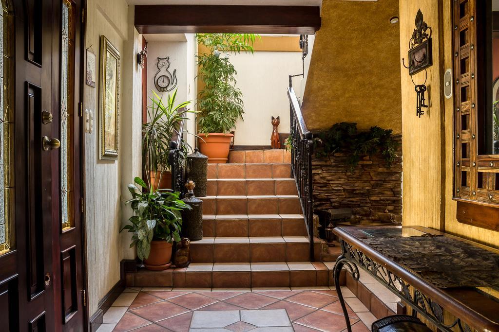 Mi Casa, Tu Casa Apartment Guatemala City Екстериор снимка