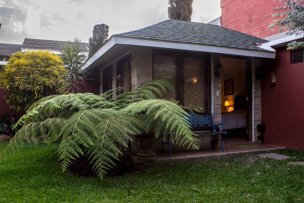 Mi Casa, Tu Casa Apartment Guatemala City Екстериор снимка
